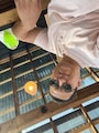 Host profile image