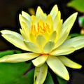 Host profile image