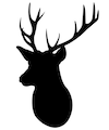 Host profile image