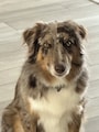 Host profile image