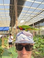 Host profile image