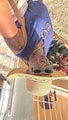 Host profile image