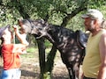 Εικόνα προφίλ οικοδεσπότη