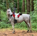 Host profile image