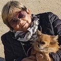 Värdens profilbild