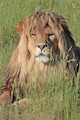 Värdens profilbild