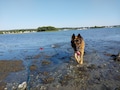 Host profile image