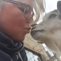 Värdens profilbild
