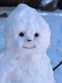Host profile image