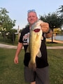 Host profile image