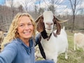 Host profile image