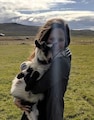 Host profile image