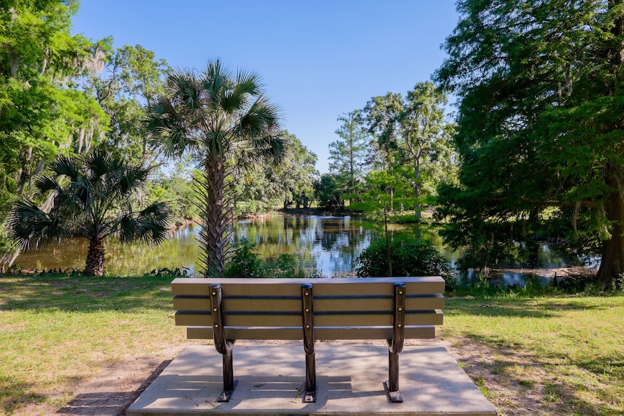 Tranquil bench overlooking a lagoon in City Park, New Orleans.