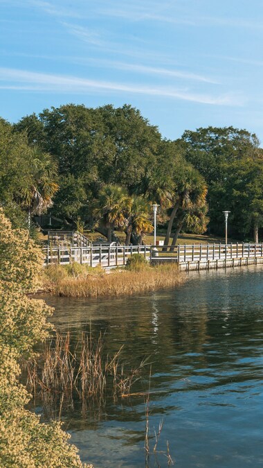 Boardwalk surrounded by lush greenery at Mattie Kelly Park with views of Choctawhatchee Bay in Destin, Florida.