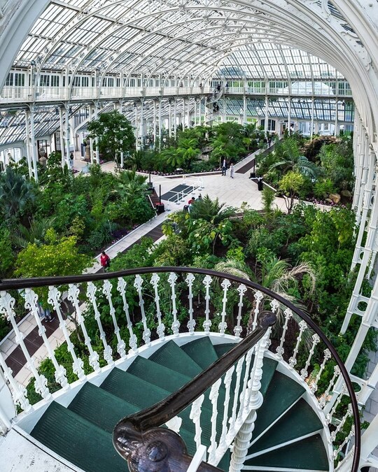 Interior view of the Temperate House at Kew Gardens in London, showcasing its grand Victorian glasshouse architecture, spiral staircase, and lush collection of exotic plants.