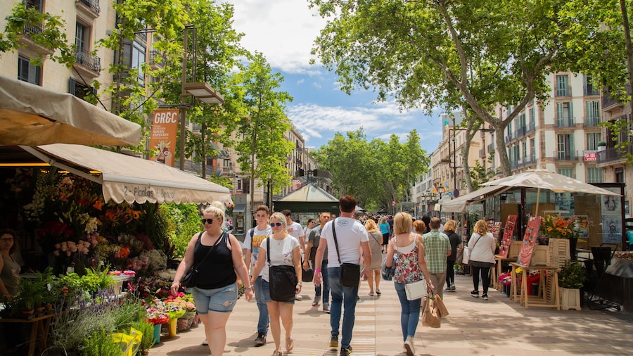 Busy pedestrian walkway along La Rambla in Barcelona, lined with flower stalls, street vendors, and leafy trees under a sunny sky.