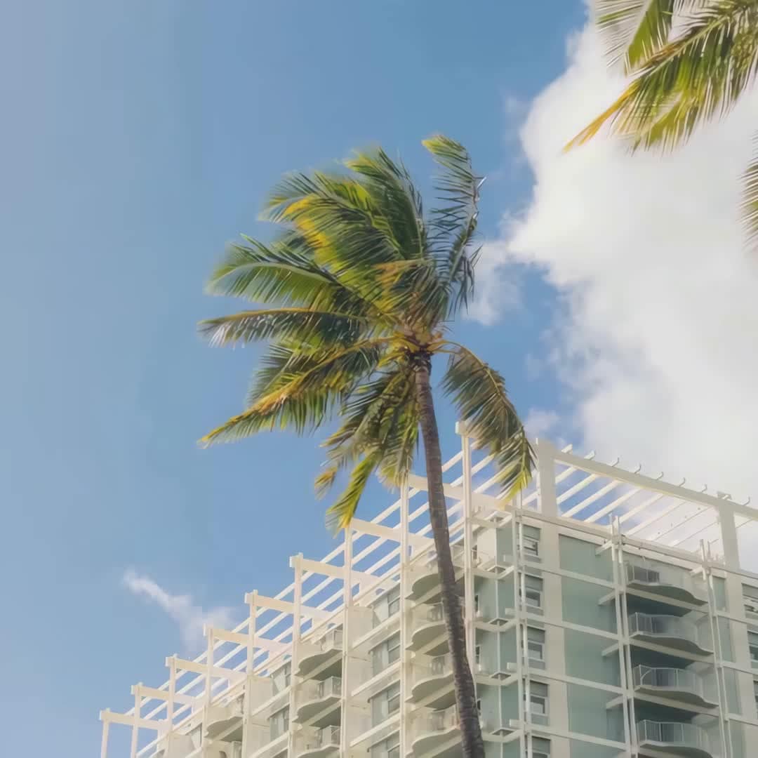 Property preview