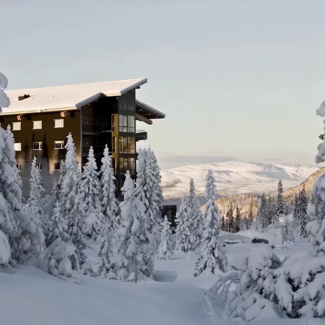 Property preview