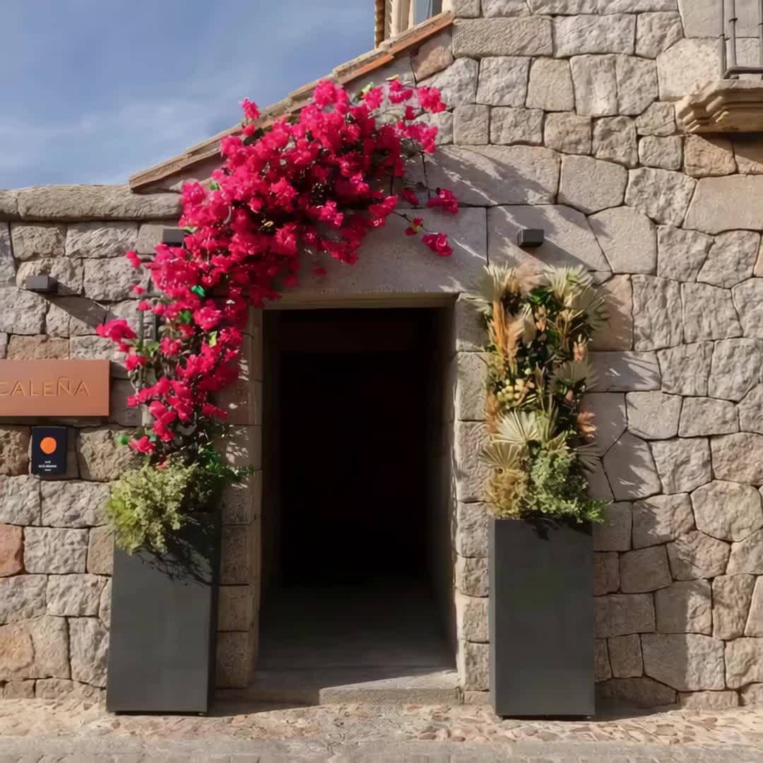 Property preview