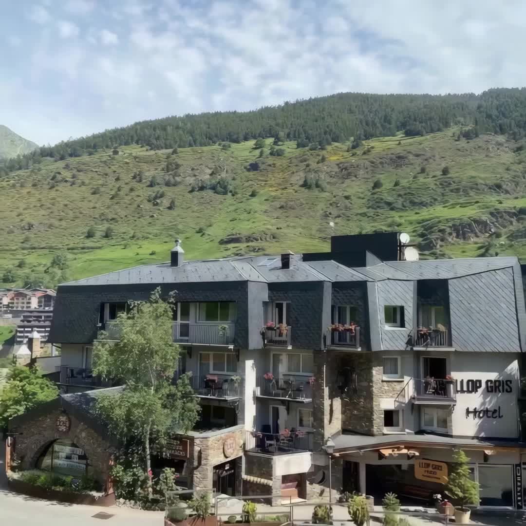 Property preview