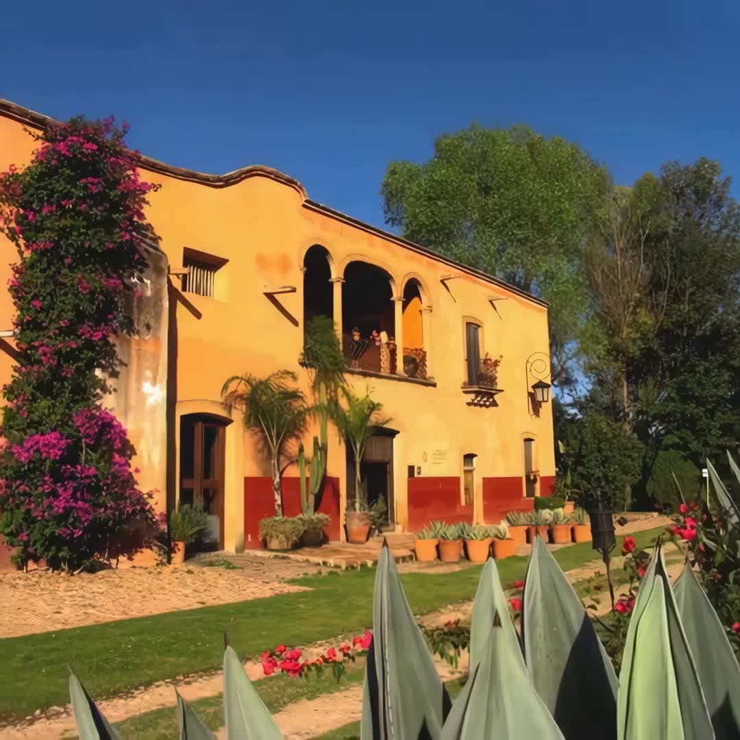 Property preview