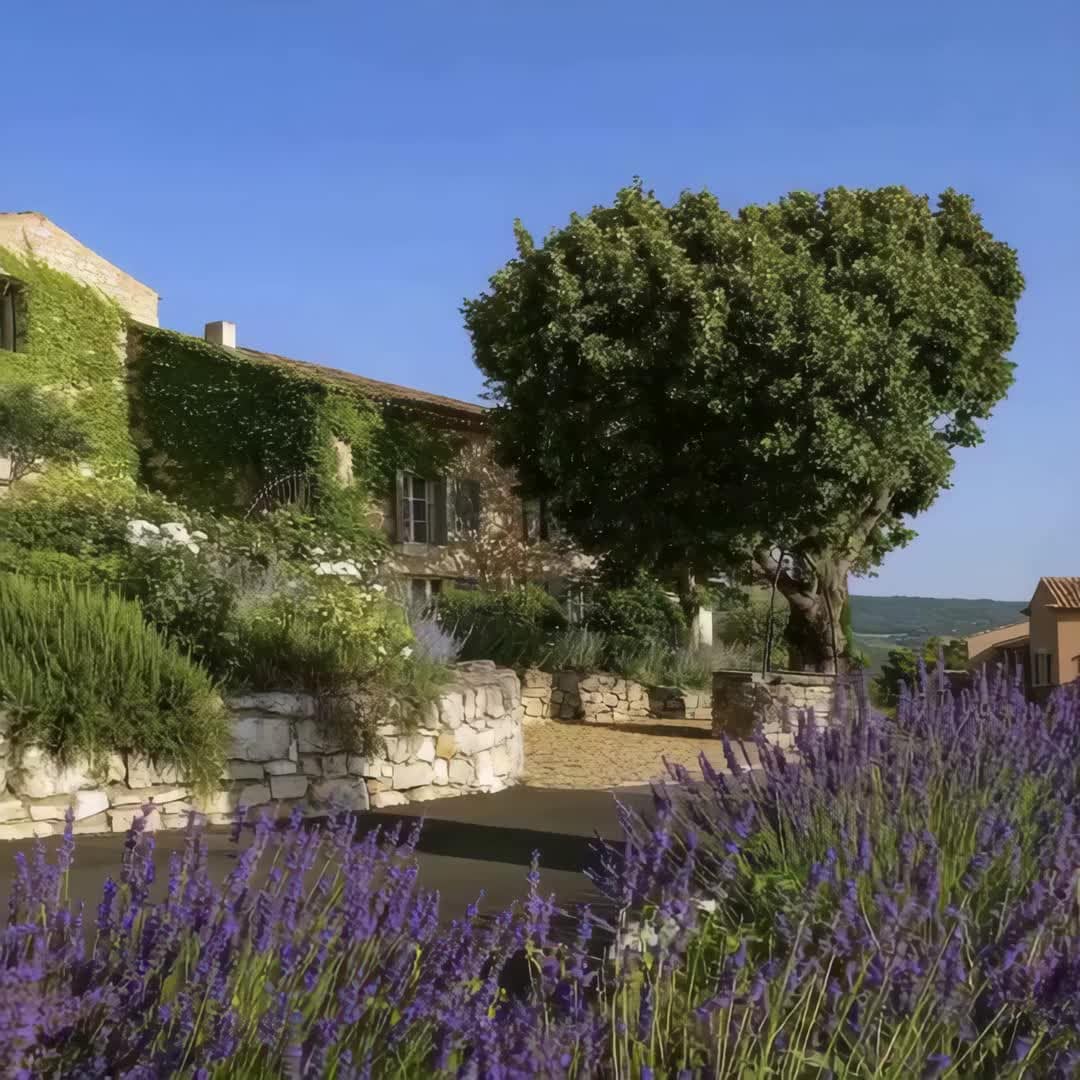 Property preview