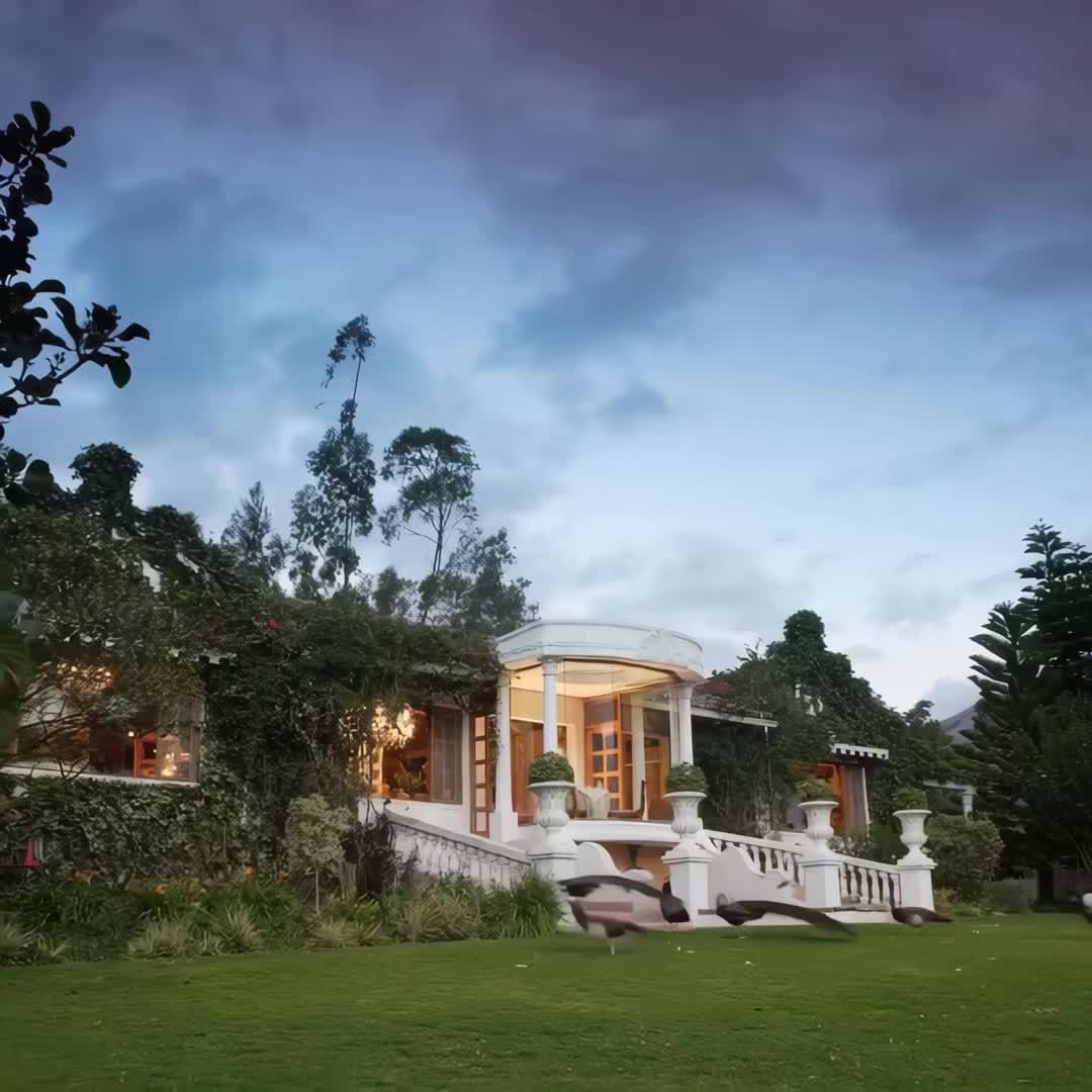 Property preview