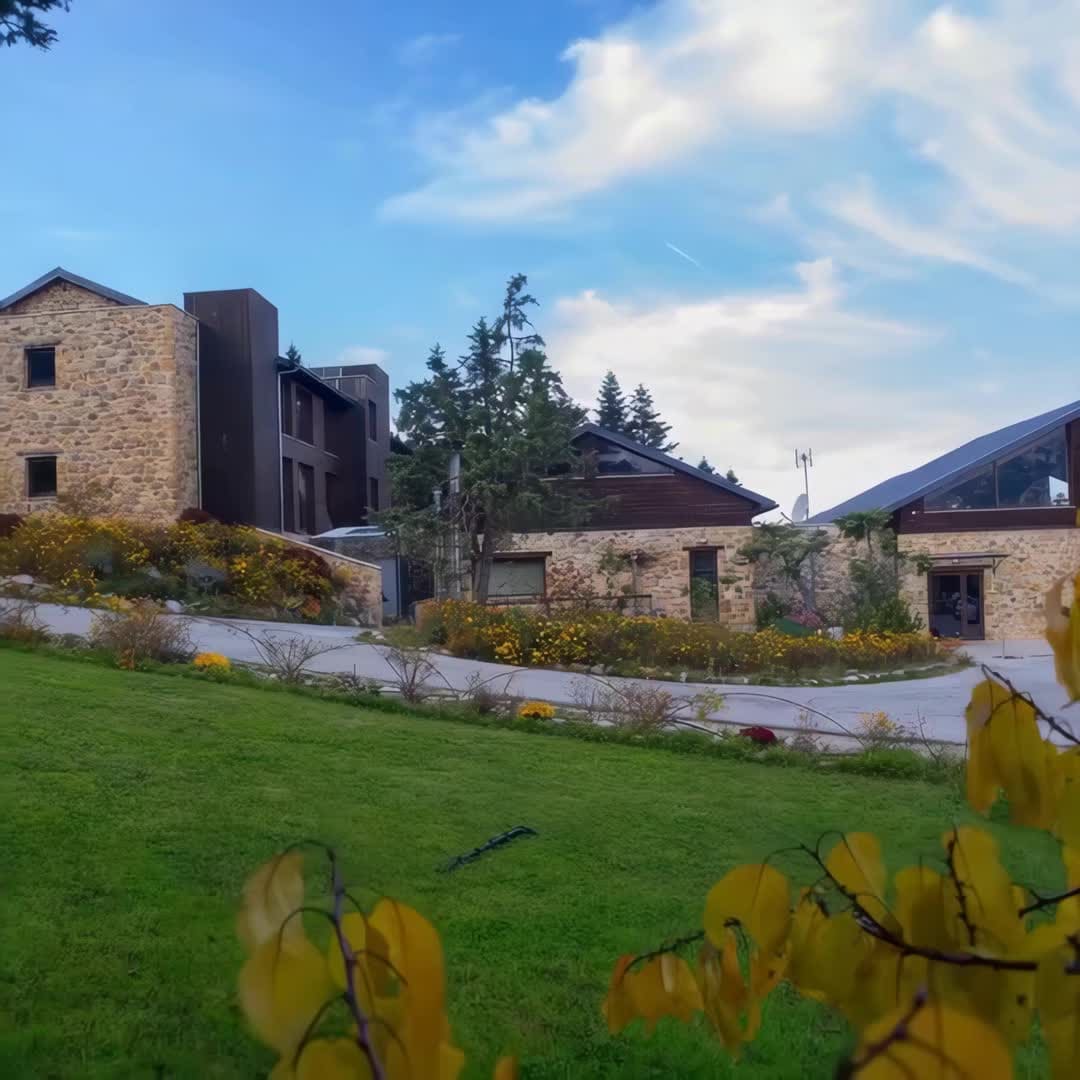 Property preview