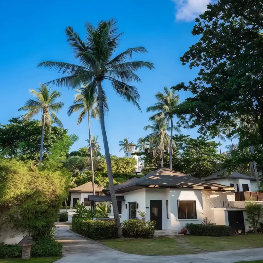 Property preview