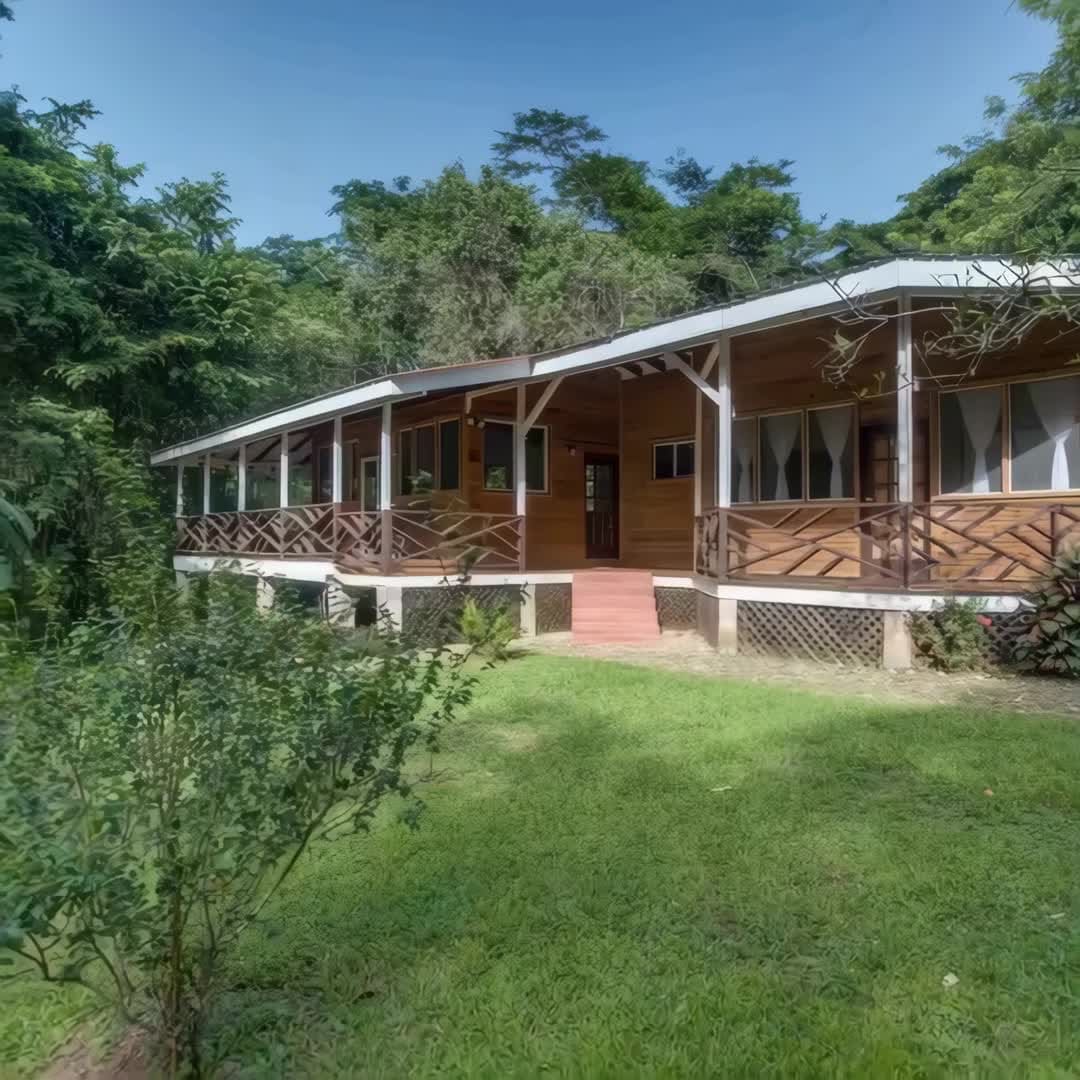Property preview