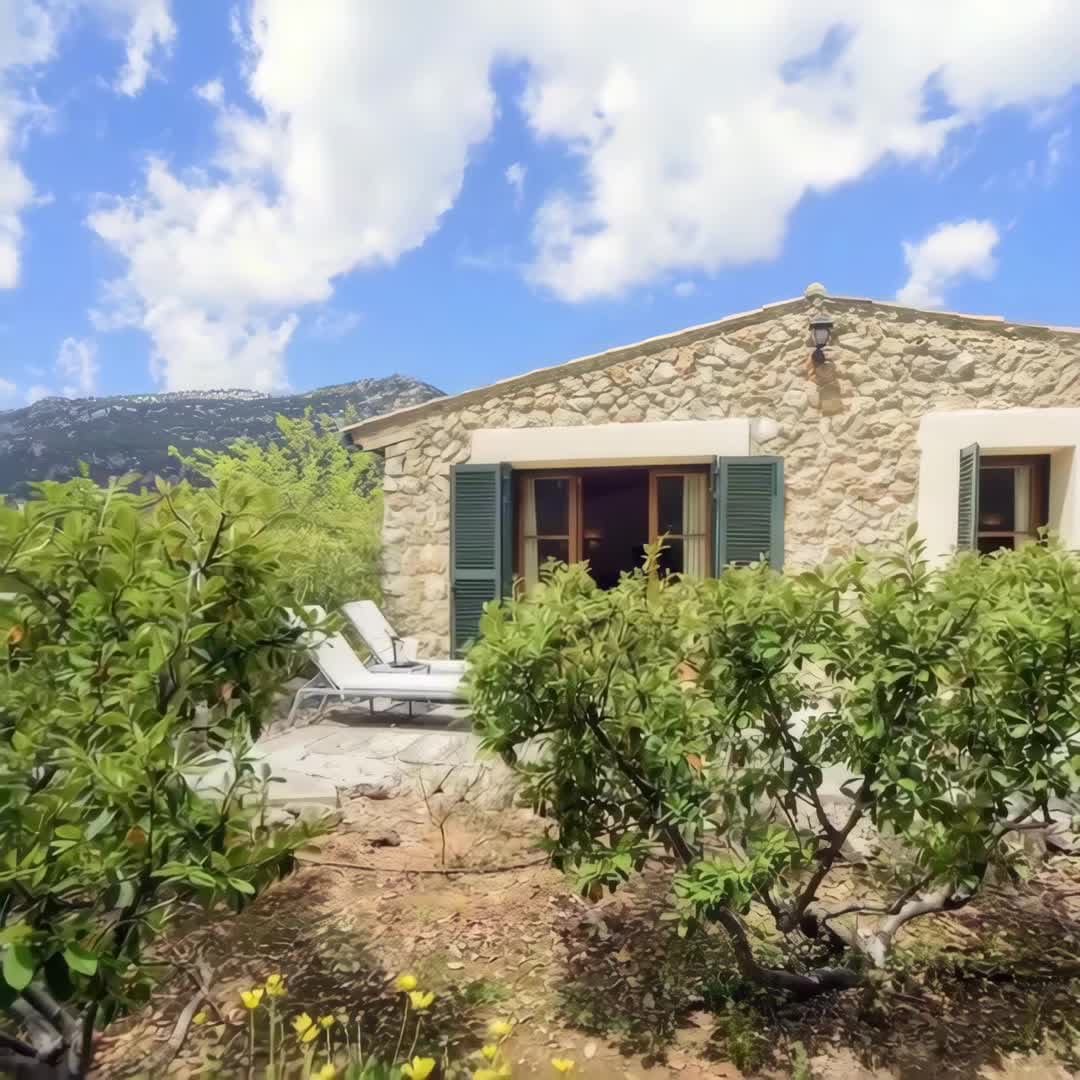 Property preview