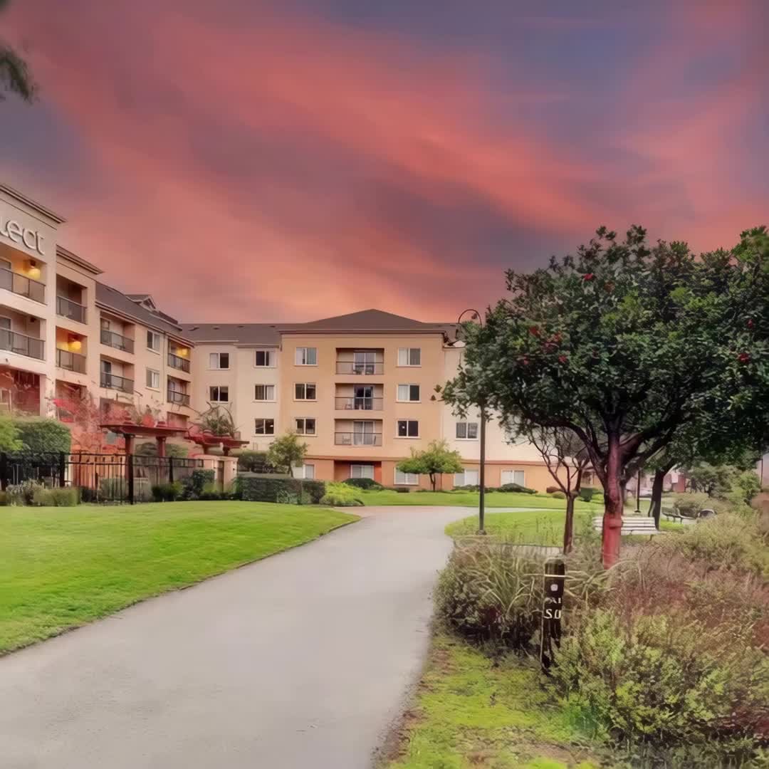 Property preview