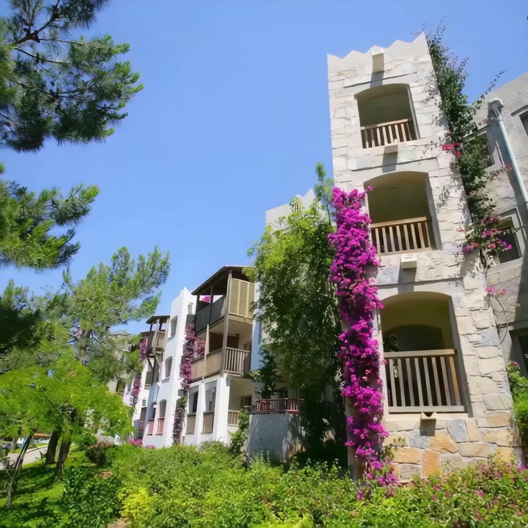 Property preview