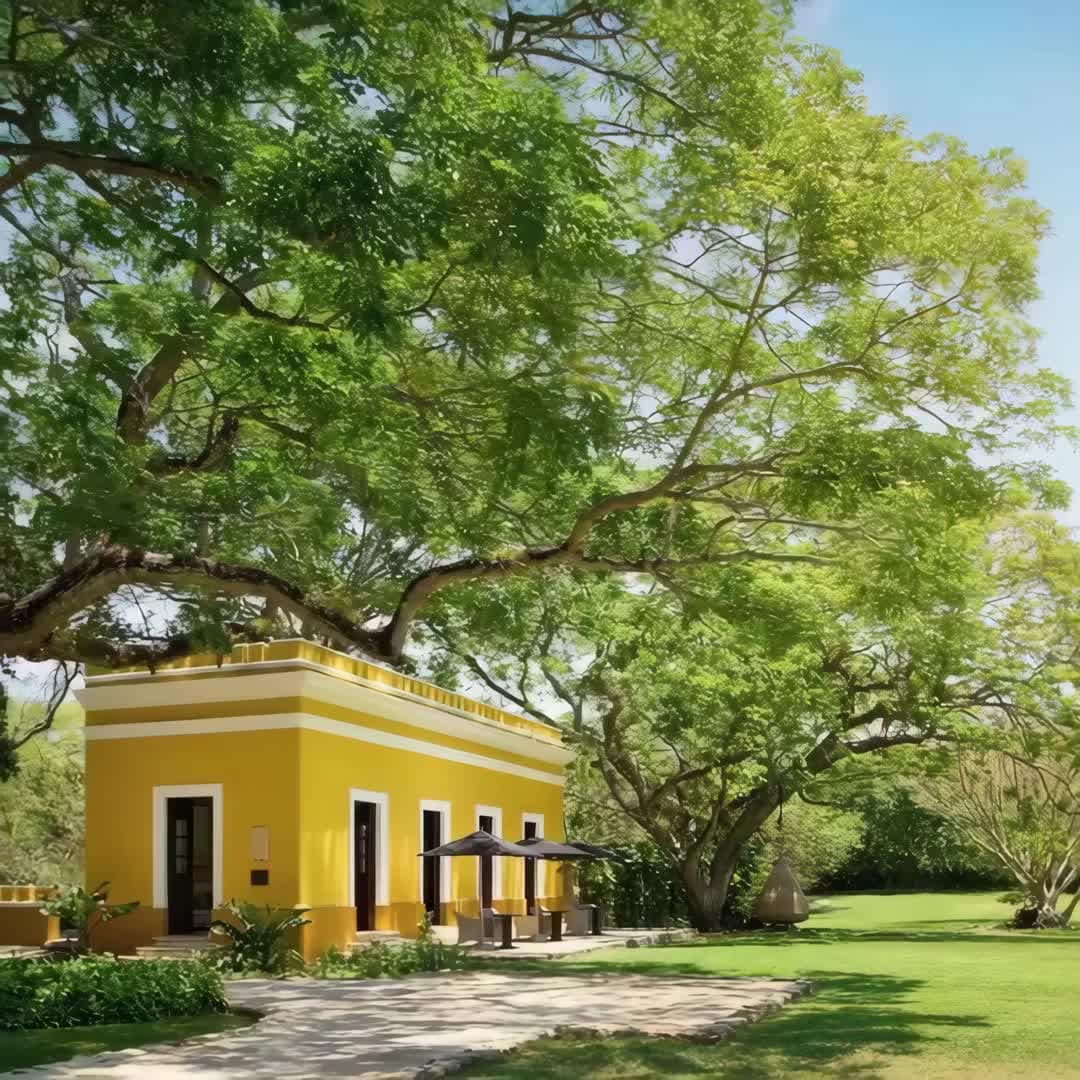 Property preview