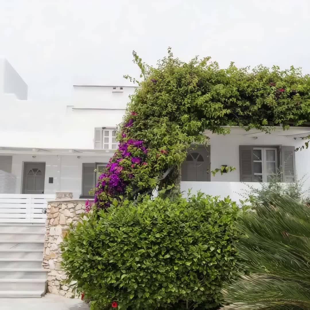 Property preview