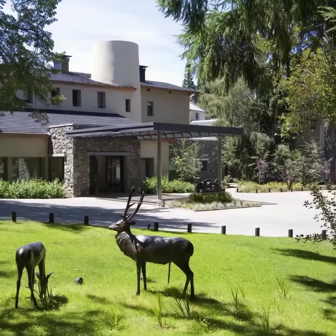Property preview