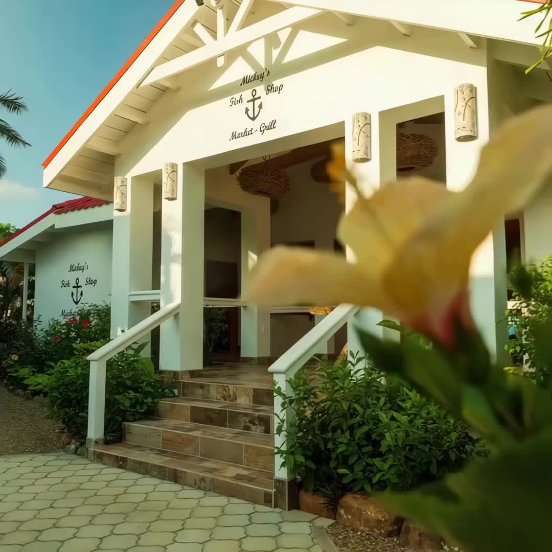 Property preview