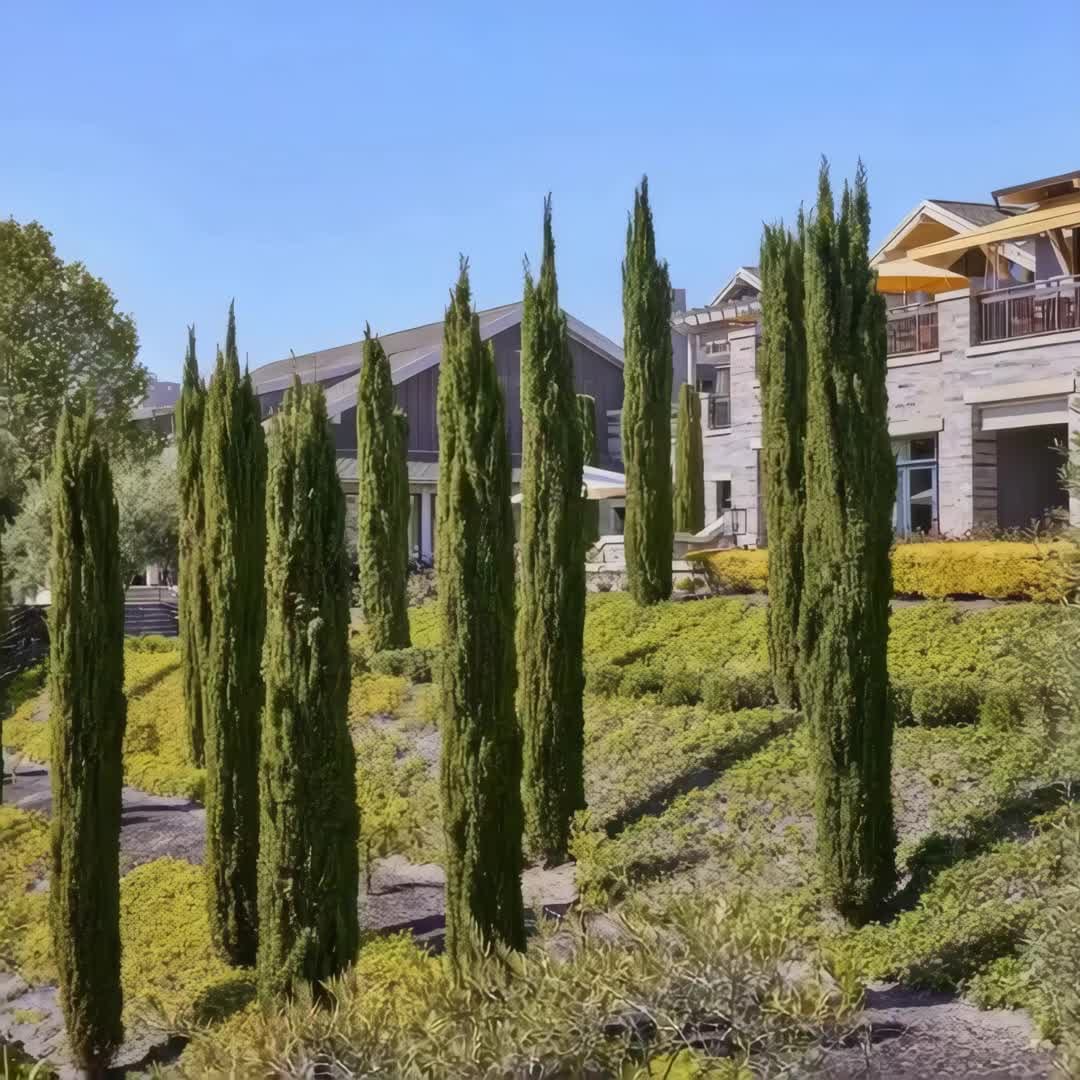 Property preview