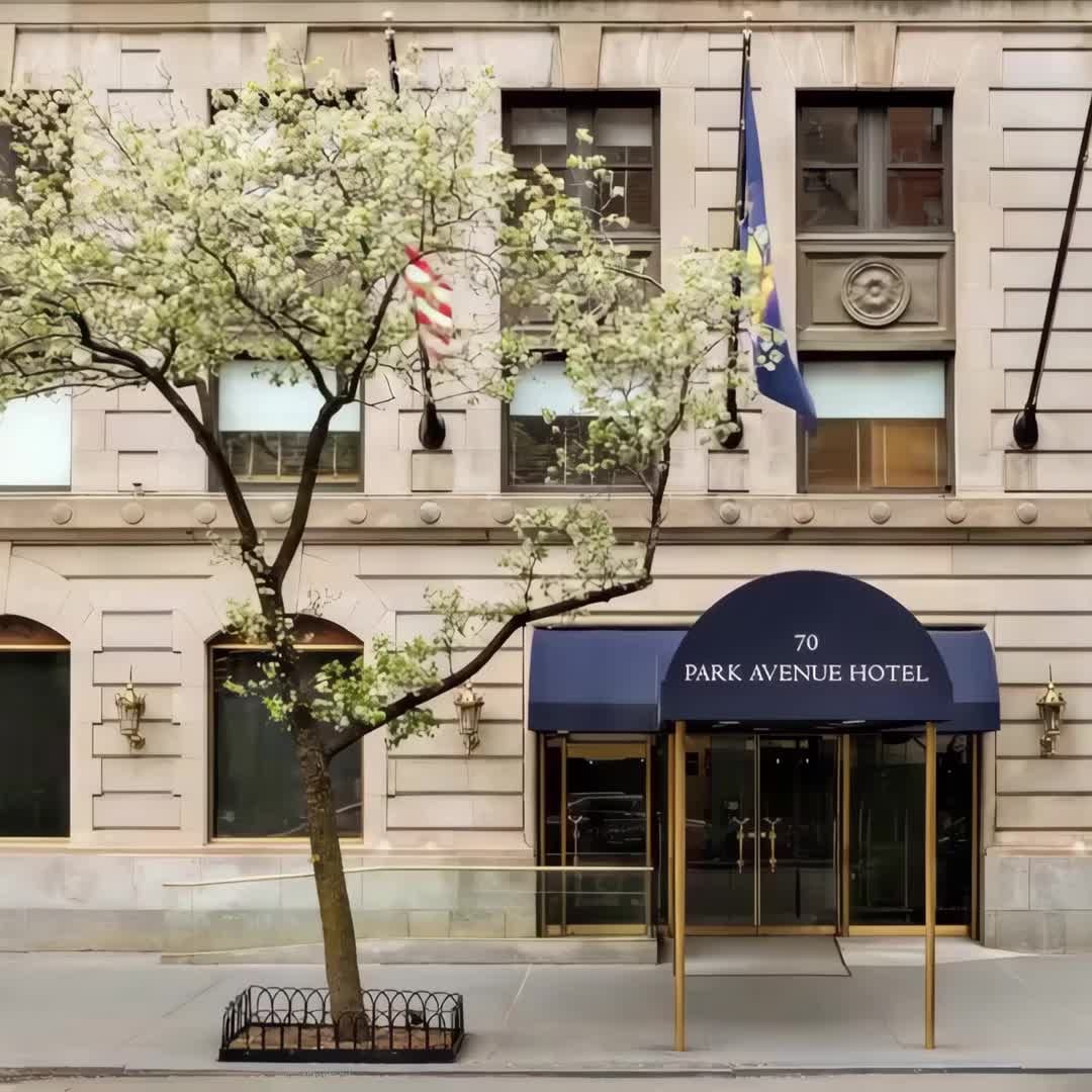 Property preview