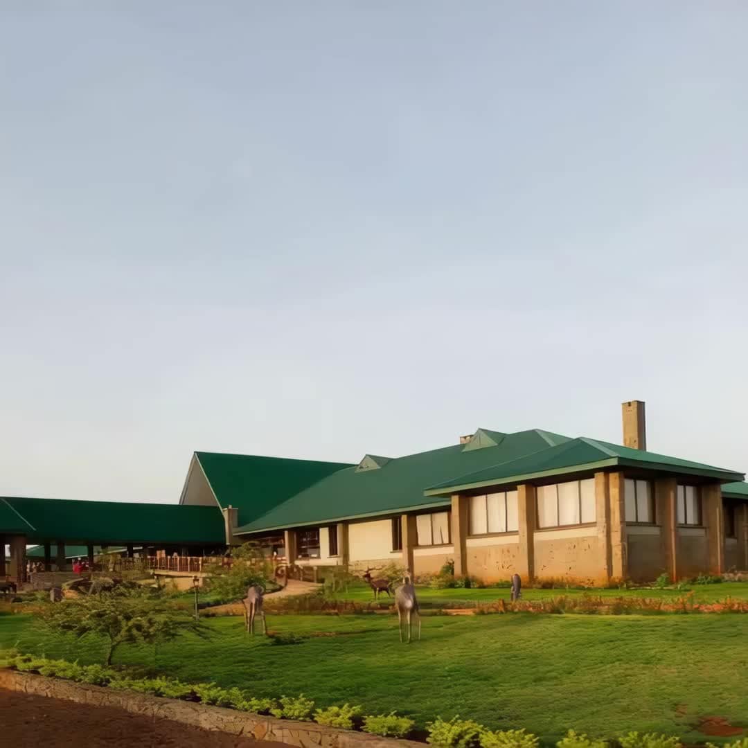 Property preview