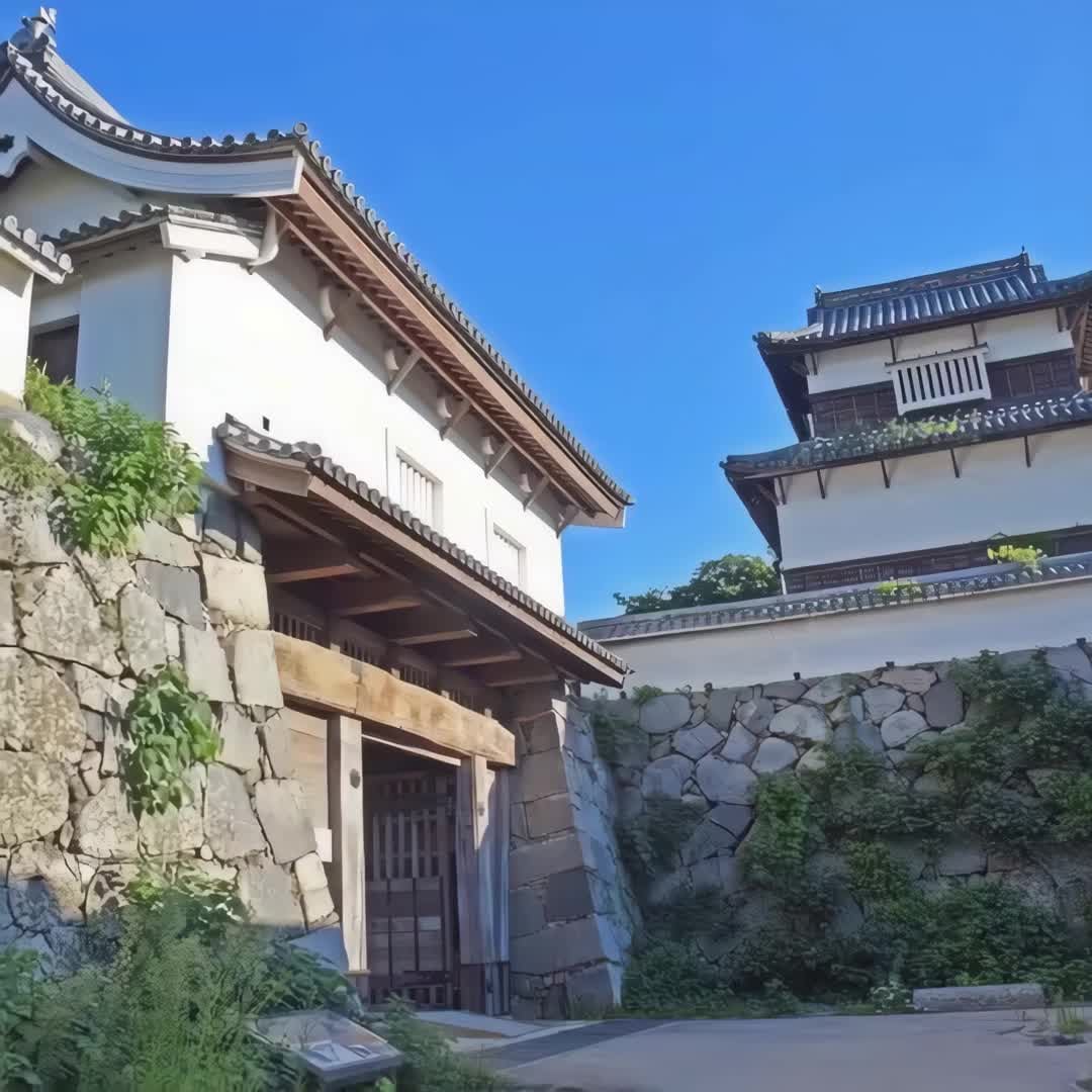 Property preview