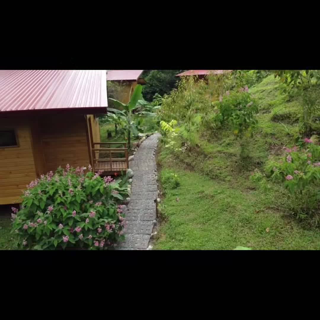 Property video