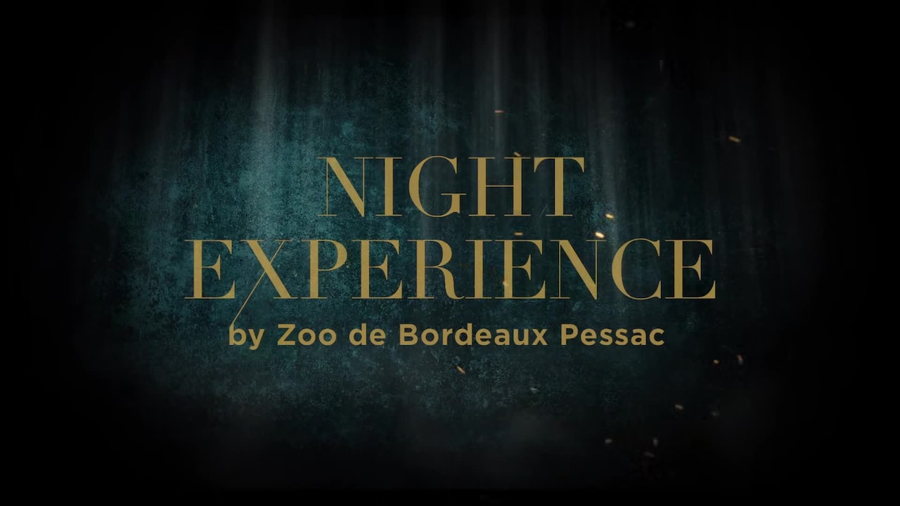 Vídeo fet per l’allotjament