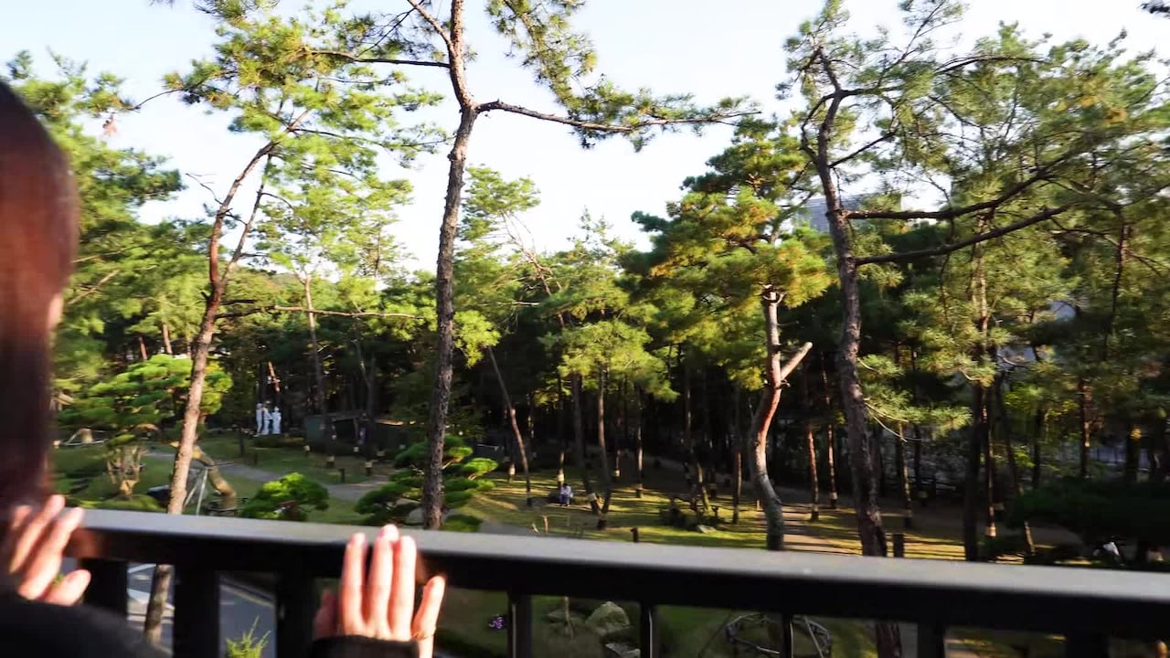 Property video