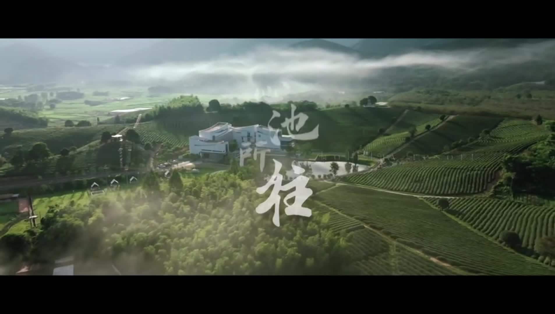 Majoituspaikan video