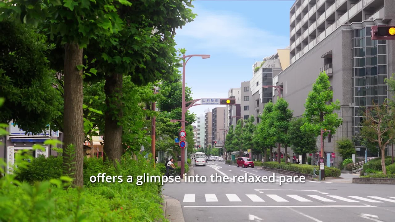 Property video