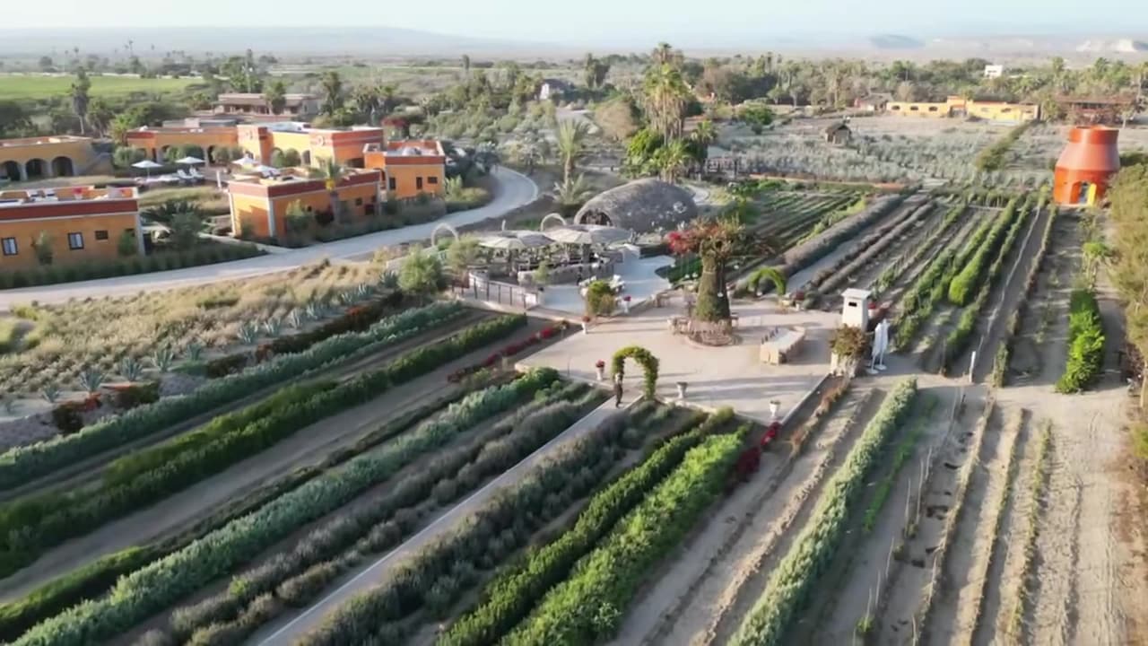 Property video