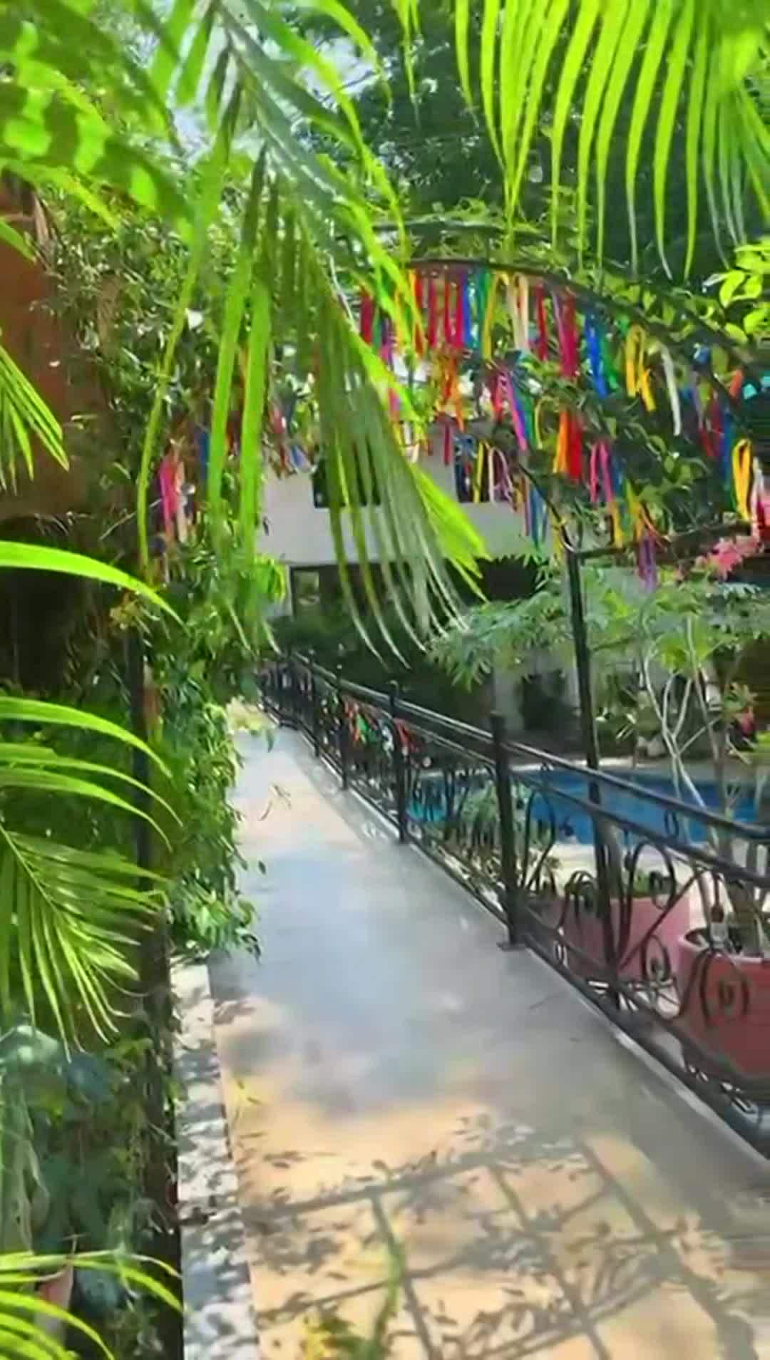 Property video