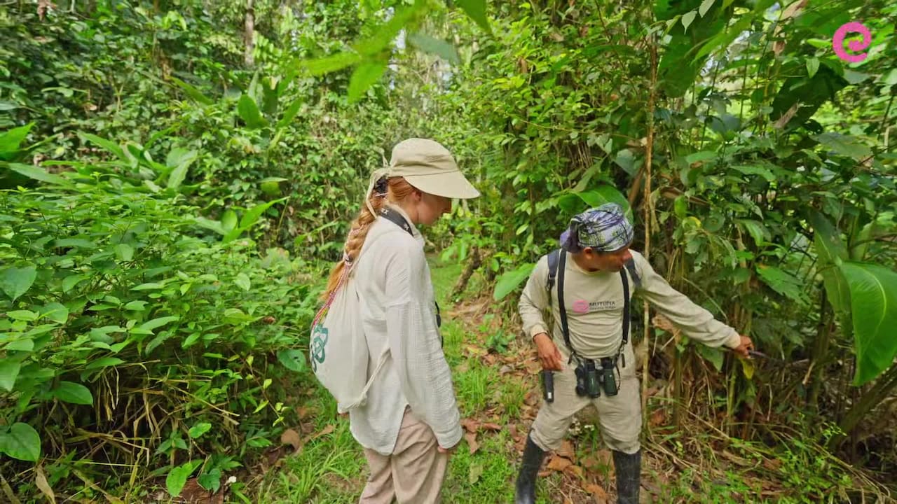 Video realizado por la propiedad