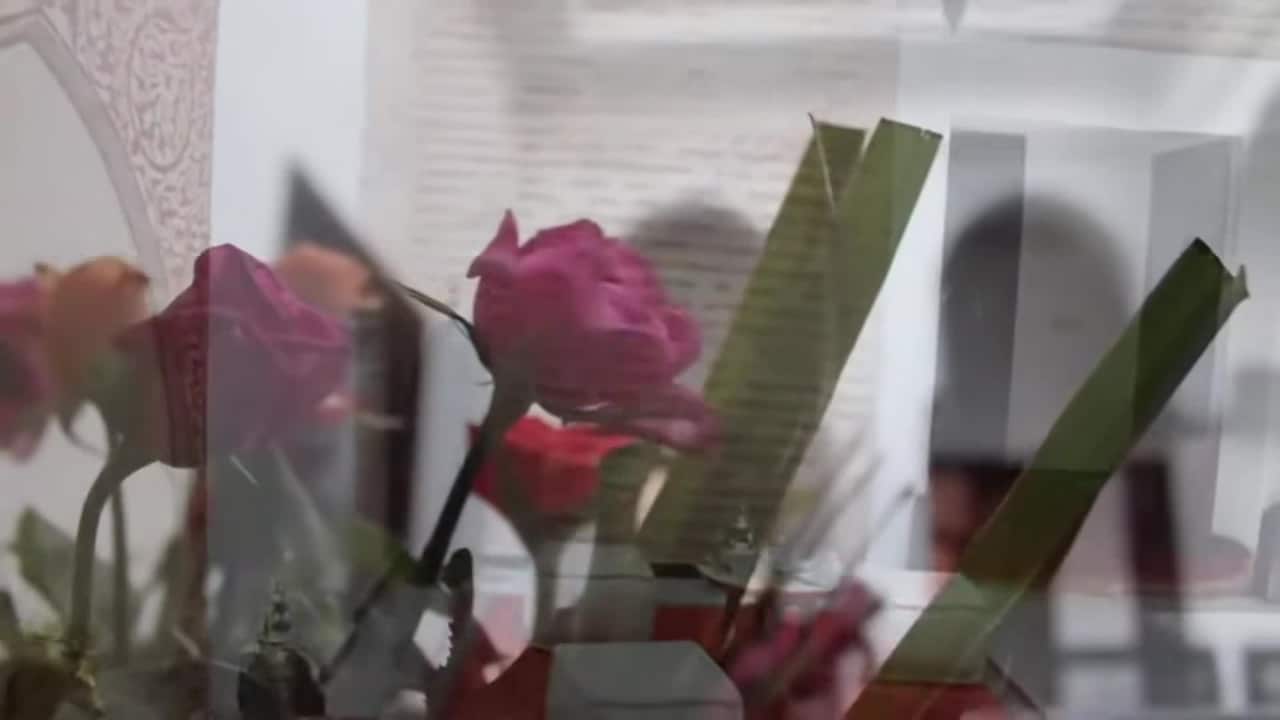 Video hartanah